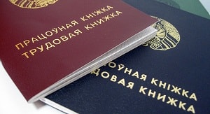 ЧТО ДУМАЮТ О СВОЕЙ РАБОТЕ БЕЛОРУСЫ?