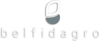 belfidagro.png